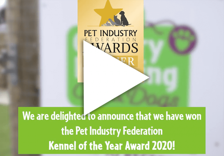 Pet Boarding Kennels & Dog TrainingHertfordshireCountry Boarding