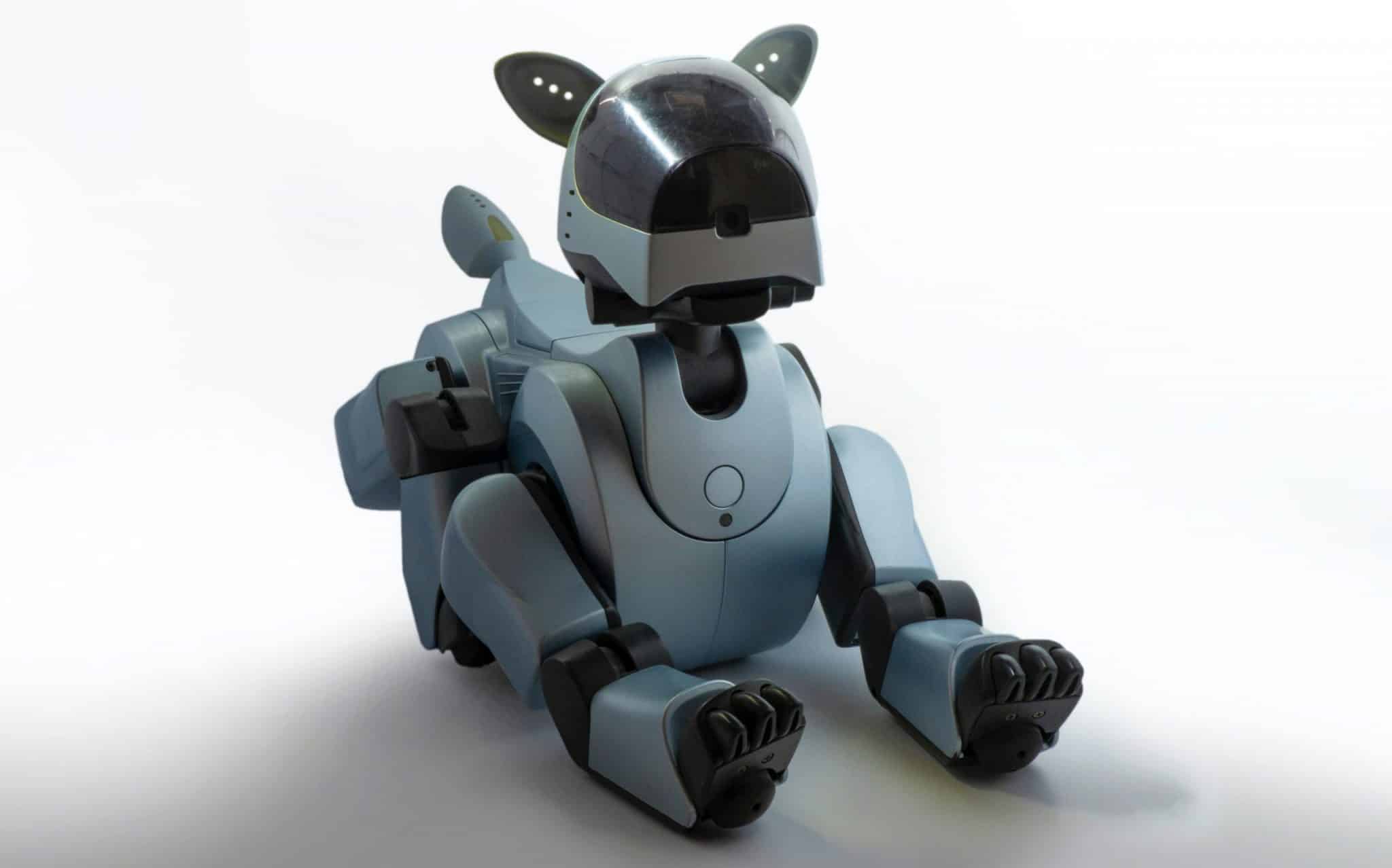 https://countryboardingkennels.co.uk/wp-content/uploads/2023/02/robot-dog-1-scaled.jpg