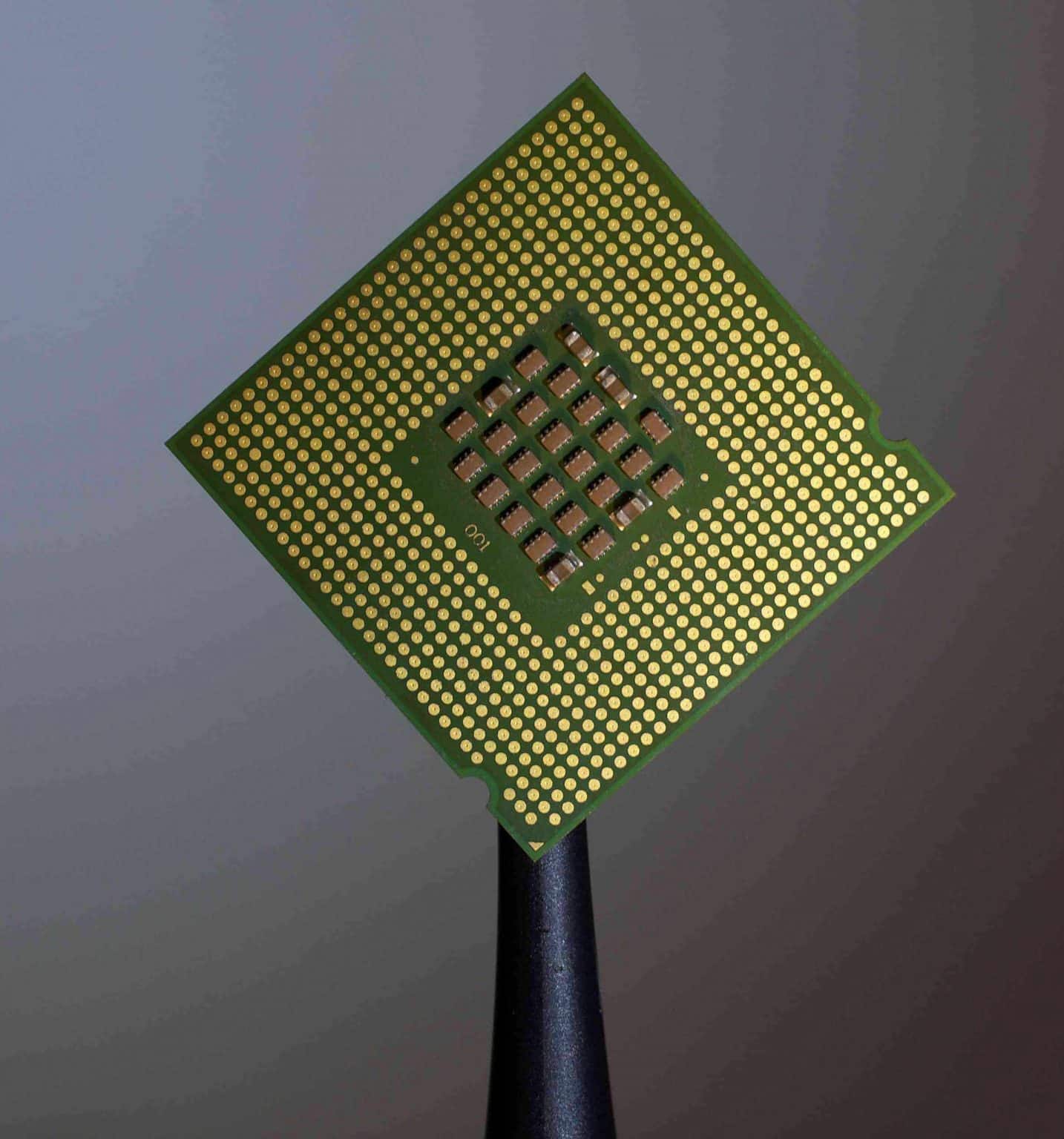 Ensuring Cat Safety UK Mandates Microchips to Safeguard Cats